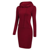 Fashionable Hooded Autumn/ Winter Casual Sweatshirt Type Dress - TravelStyle